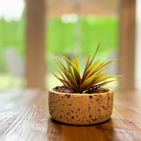 Appartamento Baltischer Hof 06 Boltenhagen (Ostseebad)