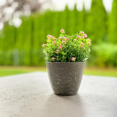 Appartamento Baltischer Hof 06 Boltenhagen (Ostseebad)