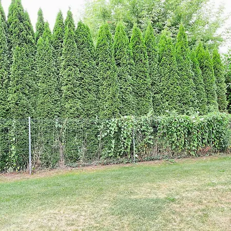 Baltischer Hof 06 Appartamento Boltenhagen (Ostseebad)