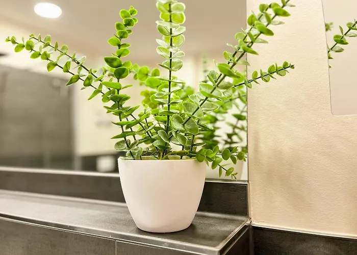 Apartman Baltischer Hof 06 *