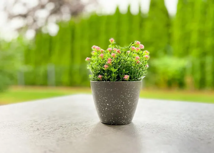 Apartman Baltischer Hof 06 Boltenhagen