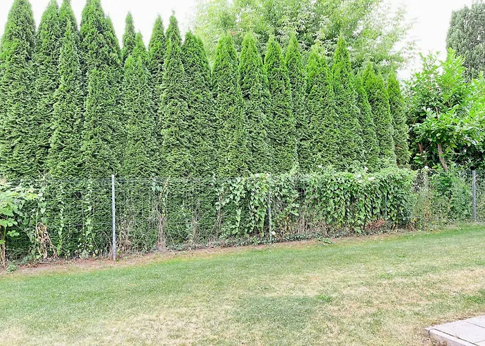 Baltischer Hof 06 Apartman Boltenhagen